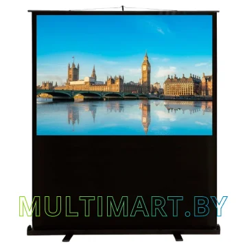 Проекционный экран CACTUS FloorCompactExpert 68x120 (CS-PSFLCE-120X68)